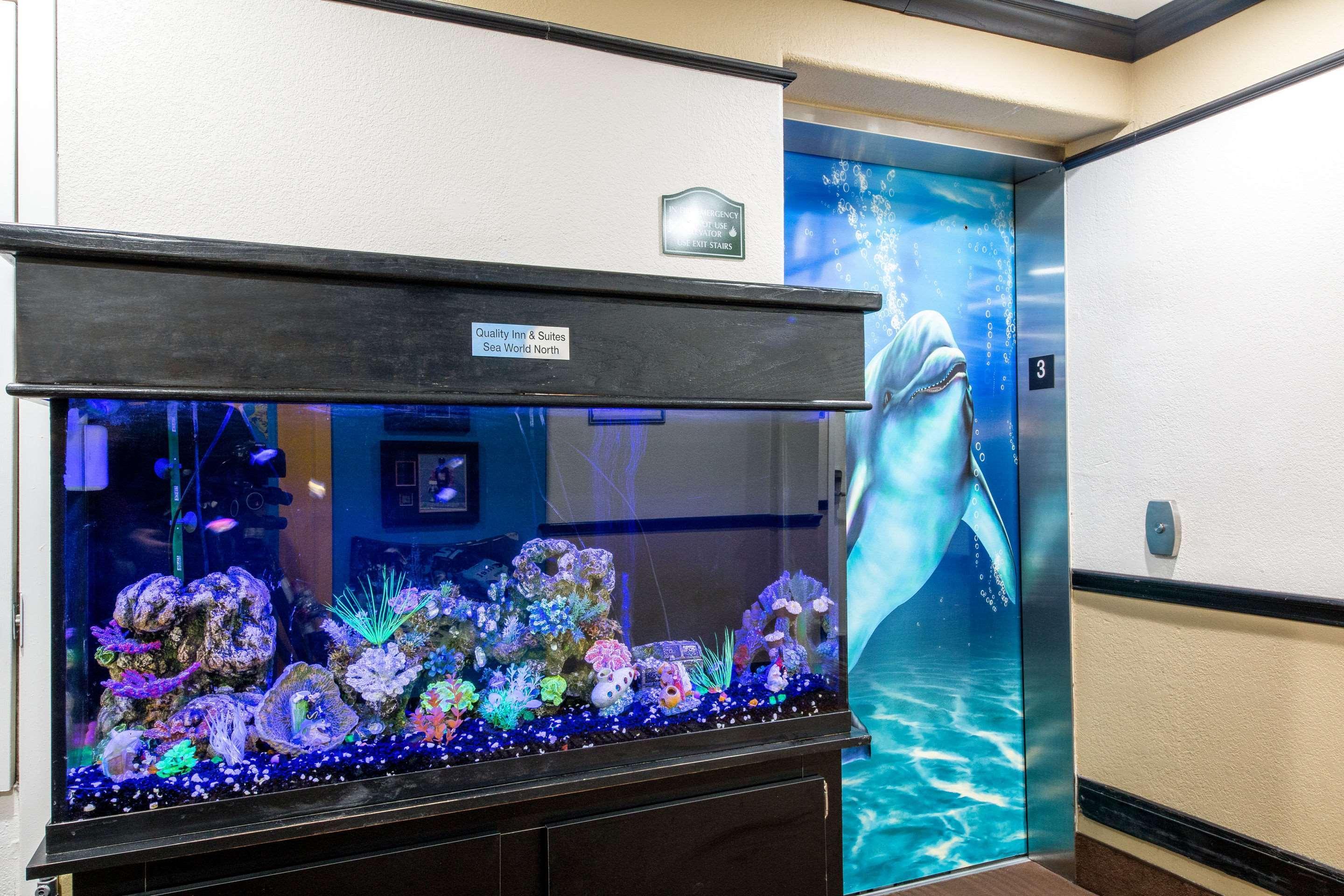 Quality Inn & Suites Seaworld North San Antonio Kültér fotó